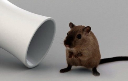 Маленька кременчужанка потрапила до реанімації, скуштувавши отруту для гризунів