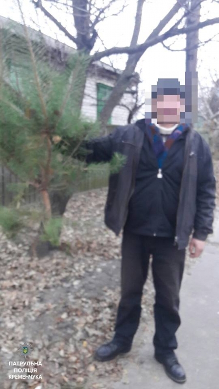 В этот раз сосну... пытались унести из Крюковского парка