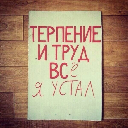 Кино, свечи, ислам и собаки: куда кременчужанам сходить на выходных 26-27 ноября