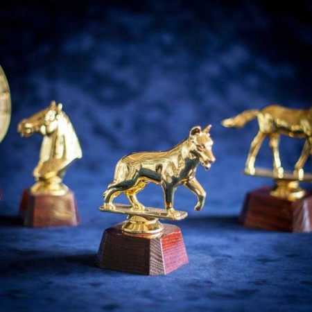 Всеукраїнський костюмований парад тварин «Кубок Хатіко» у Кременчуці: реєструйтеся тут