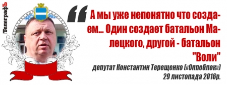 «Будет вам пипец» и «Записки сумасшедшего» - цитаты сессии Кременчугского горсовета 29 ноября