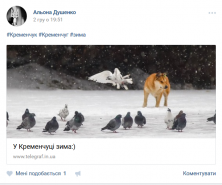 Кременчужани діляться зимою у cоціальних мережах