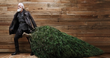 Когда и почём можно будет отхватить новогоднюю красавицу в Кременчуге