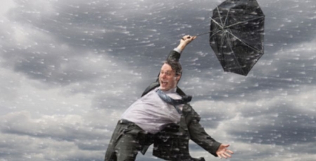 Бойтесь деревьев и рекламных щитов: ожидаются сильные порывы ветра