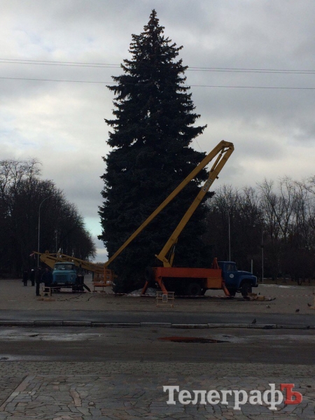 На площади Победы монтируют Рождественский городок и украшают живые елки