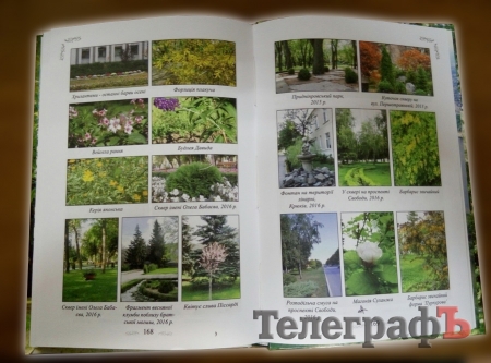 Этого вы о кременчугских парках не знали! А также шокирующая правда о субботниках!