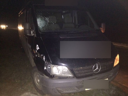 Под Кременчугом Mercedes Sprinter насмерть сбил пешехода