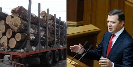 Збережемо ліс – захистимо Україну!