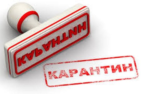 Карантин в школах продлен