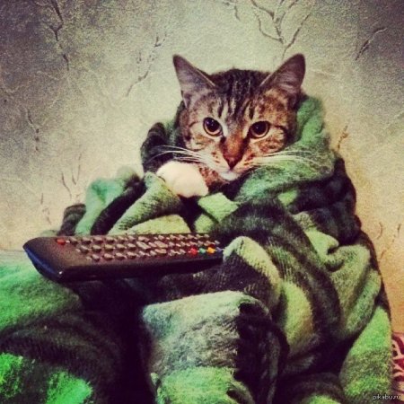 Кременчужани будуть добу без опалення: куди телефонувати