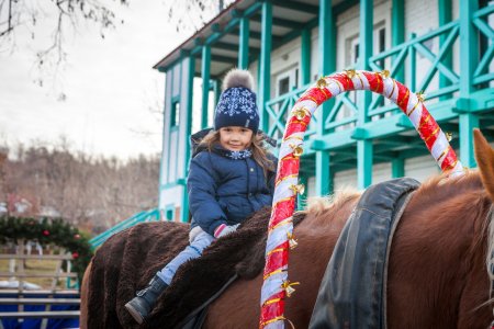 Встречаемся в новогоднюю ночь в резиденции Деда Мороза