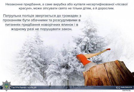 Первые пошли: полиция оштрафовала четверых торговцев нелегальными ёлками