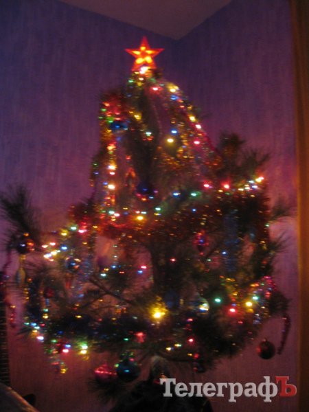 Похвастайся своей красоткой: присылайте нам свои новогодние ёлки