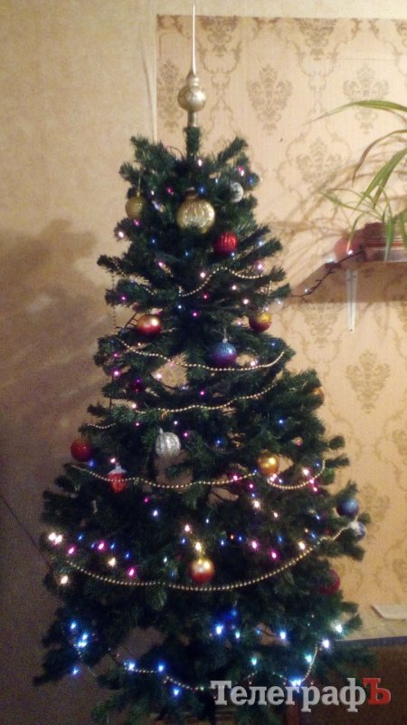 Похвастайся своей красоткой: присылайте нам свои новогодние ёлки