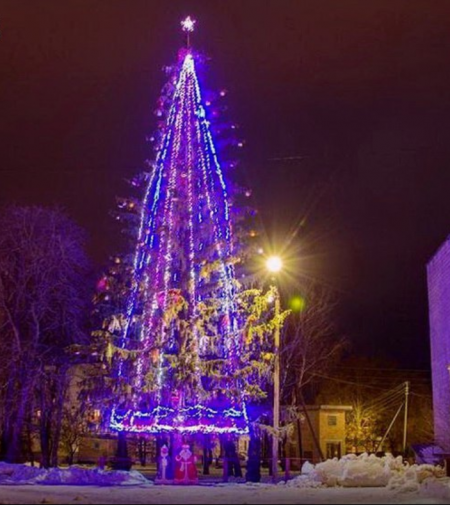 Найвища новорічна ялинка України росте на Полтавщині