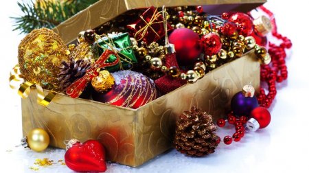 Нарядил ёлочку: в Кременчуге задержали похитителя новогодних игрушек