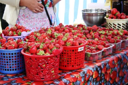 Вспомнить всё: Кременчуг-2016 в фотографиях