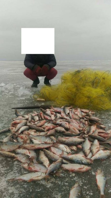 Правоохранители Кременчуга задержали браконьера, который наловил рыбы на 14 тысяч гривен