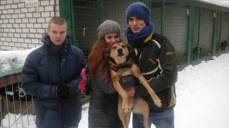 Как кременчужане на выходных собак на «Спецсервисе» откапывали