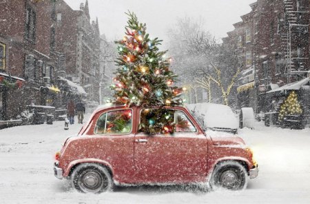 Кременчужан наказали за ёлки