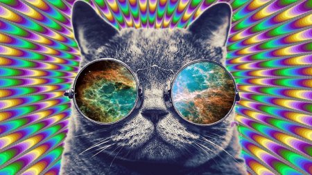 В Кременчуге патрульные задержали ночного «гонщика» с наркотиками внутри