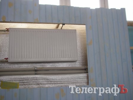 Директор 11-го лицея Быкова подозревает депутата Сидерку в вымогательстве «чего-то материального»