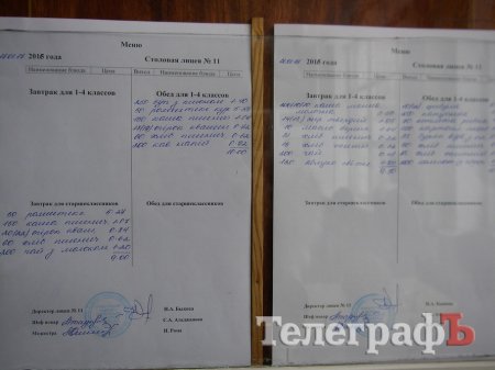 Директор 11-го лицея Быкова подозревает депутата Сидерку в вымогательстве «чего-то материального»