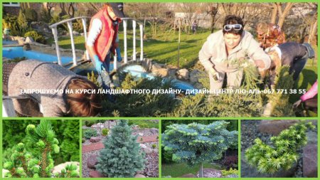 Дизайн-центр "ЛЮ-АЛЬ" запрошує на професійні курси