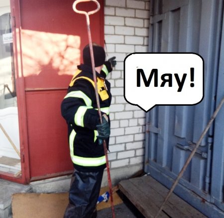 Два с половиной часа кременчугские спасатели вытаскивали кота, который застрял