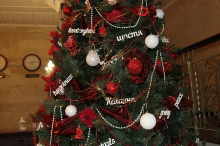 У Кременчуці обрали супер-ялинку - загадкову та чарівну