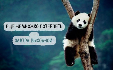 Женский хоккей, театр и живопись: куда кременчужанам сходить на выходных