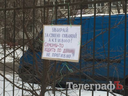 Фотофакт: а как вы боретесь с собачниками?