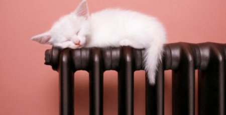 Кременчужане в шоке от новых платежек за тепло: теперь от того, что они маленькие...