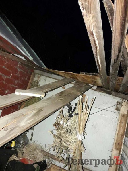 Дожились: на Раковке воры сняли с дома металлическую крышу и порезали беседку