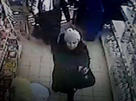 Помогите найти карманных воровок по фотографиям