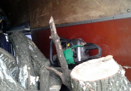 У Кременчуцькому районі чоловік напиляв дубів на 13 000 гривень
