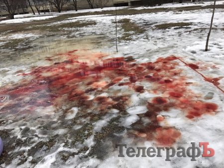 Фотофакт: криваві калюжі на Молодіжному
