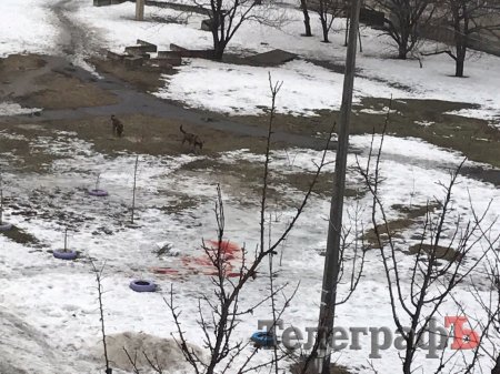 Фотофакт: криваві калюжі на Молодіжному