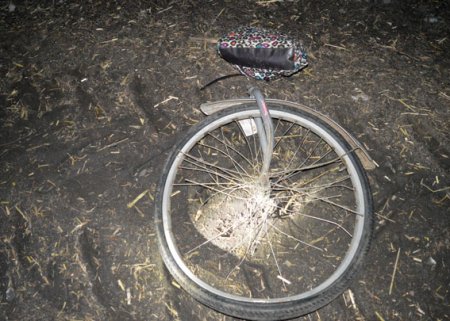 На Полтавщине ВАЗ сбил двоих велосипедистов: девушка погибла на месте