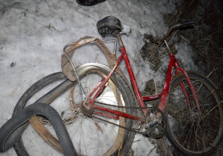 На Полтавщине ВАЗ сбил двоих велосипедистов: девушка погибла на месте