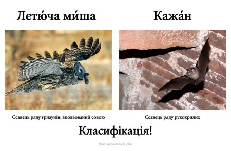 Поради від шпрехенфюрера: в кінці робочого дня мовний патруль спішить до кременчужан
