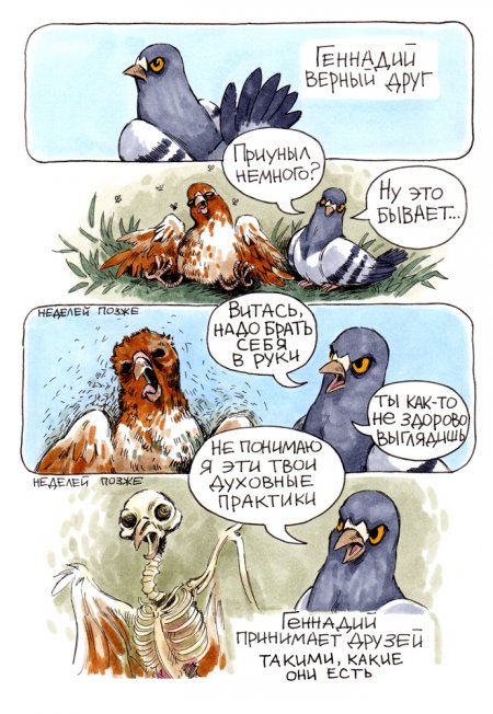 В конце рабочего дня: история о жизни и приоритетах сурового голубя Геннадия