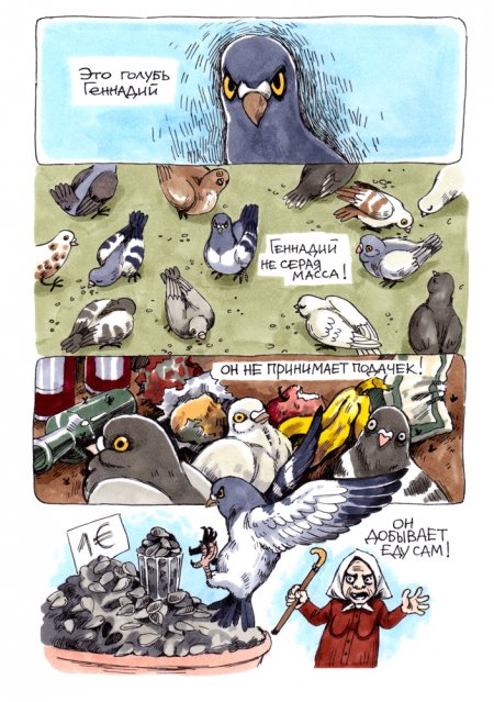 В конце рабочего дня: история о жизни и приоритетах сурового голубя Геннадия