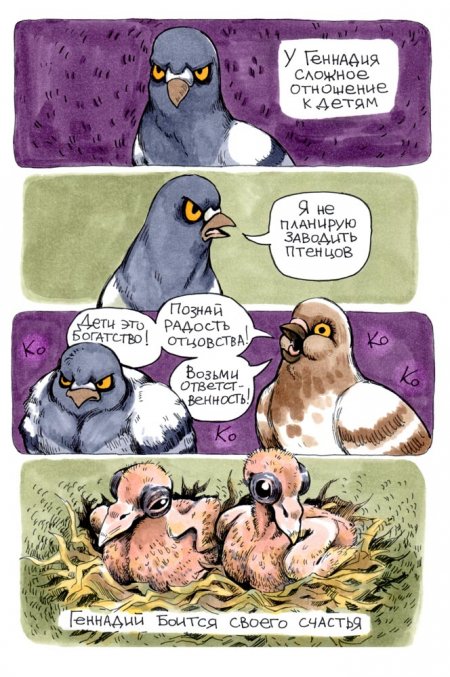 В конце рабочего дня: история о жизни и приоритетах сурового голубя Геннадия