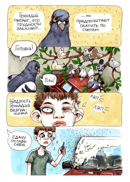 В конце рабочего дня: история о жизни и приоритетах сурового голубя Геннадия