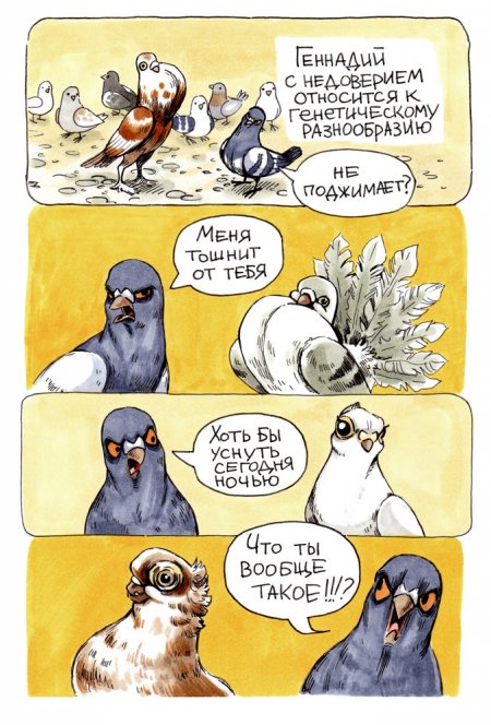 В конце рабочего дня: история о жизни и приоритетах сурового голубя Геннадия