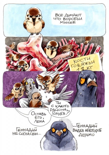 В конце рабочего дня: история о жизни и приоритетах сурового голубя Геннадия