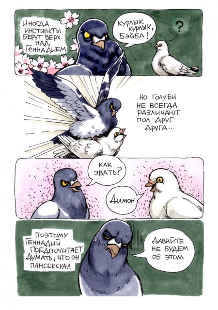 В конце рабочего дня: история о жизни и приоритетах сурового голубя Геннадия