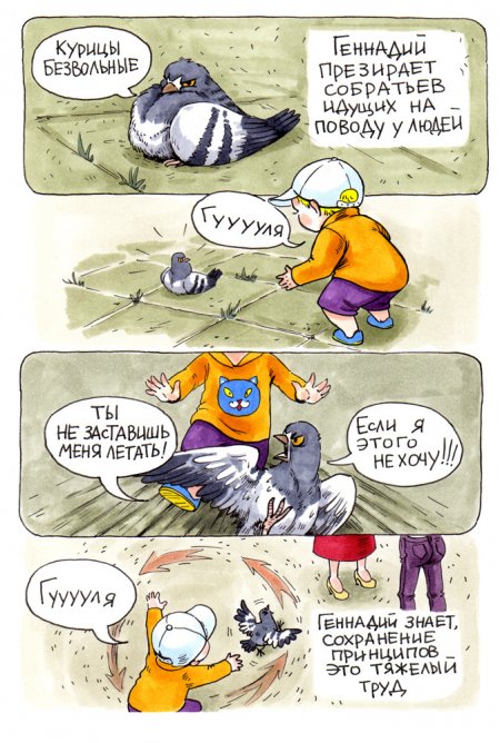 В конце рабочего дня: история о жизни и приоритетах сурового голубя Геннадия