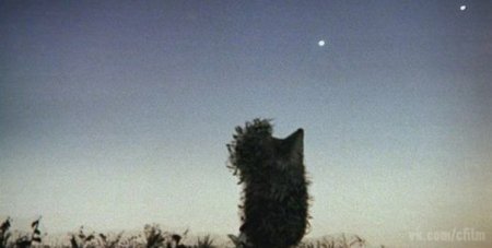 На Кременчуцькому водосховищі рятувальники знайшли рибалок по зірках